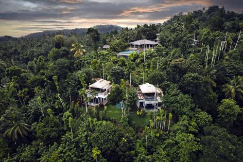 康提Aarunya Nature Resort and Spa的森林中房屋的空中景观