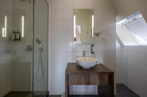 OverpeltHotel De Boskar Pelt的一间带水槽和淋浴的浴室