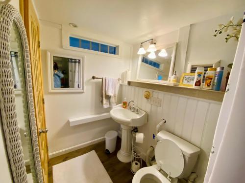 普里茅斯清澈池塘套房公寓的一间带卫生间和水槽的小浴室