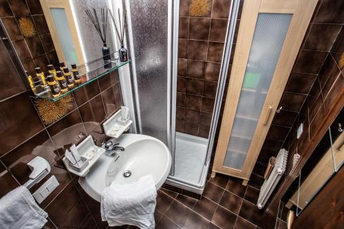 布勒伊-切尔维尼亚Marcolski home的一间带水槽和淋浴的浴室