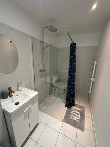 格里莫Appartement de charme n7的带淋浴、盥洗盆和卫生间的浴室