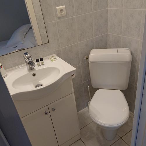 滨海卡约Le Parc aux Huîtres的浴室配有白色卫生间和盥洗盆。