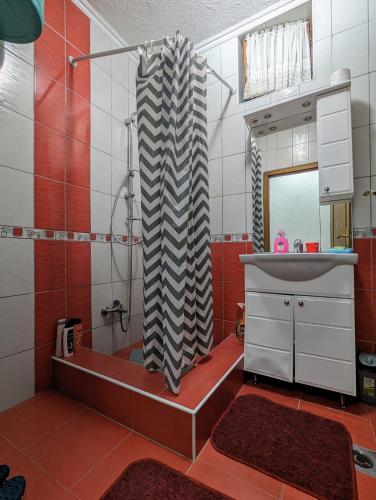 特拉夫尼克Apartment LAMI - Kalibunar, Travnik的带淋浴、盥洗盆和镜子的浴室