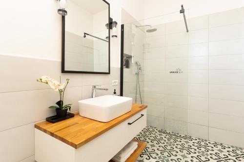 弗格拉什Urban Six Apartments的一间带水槽和淋浴的浴室