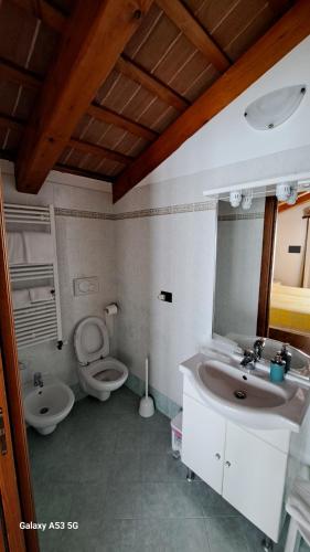 Rovolon雪花莲乡间民宿的一间带水槽和卫生间的浴室