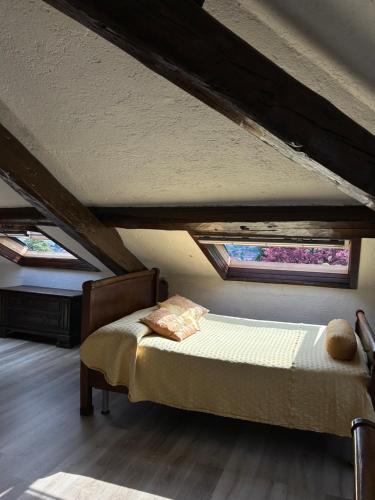 Venegono Superiore普契尼别墅度假屋的一间卧室设有一张床和两个窗户。