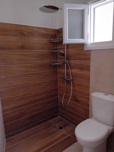 佐努萨岛Asterias Penthouse的一间带木墙和卫生间的浴室