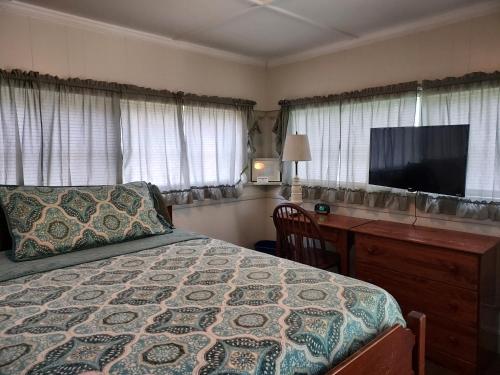 ShaftsburySerenity Motel的一间卧室配有一张床、一张书桌和一台电视
