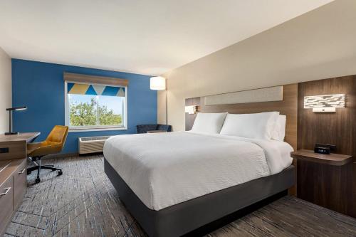 莱瑟姆Holiday Inn Express & Suites Albany Airport Area - Latham, an IHG Hotel的一间卧室配有一张床、一张书桌和一个窗户。