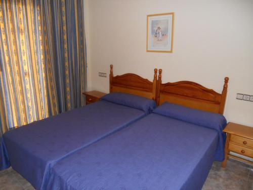 萨洛萨鲁帕拉斯公寓的一间卧室配有两张蓝色床单