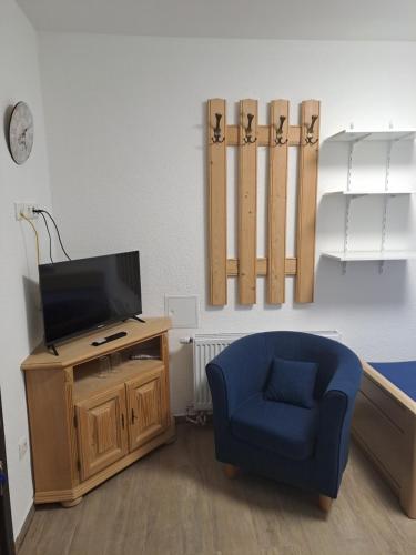 FloßZum Gogerer的客厅配有蓝椅和电视