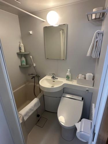 汤泽町駅本ビル民宿的一间带卫生间、水槽和镜子的浴室