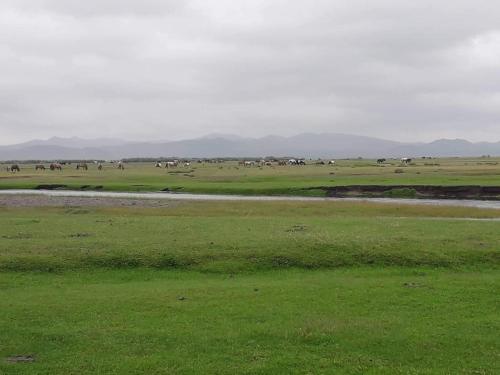 Nomad family in Khustai National Park