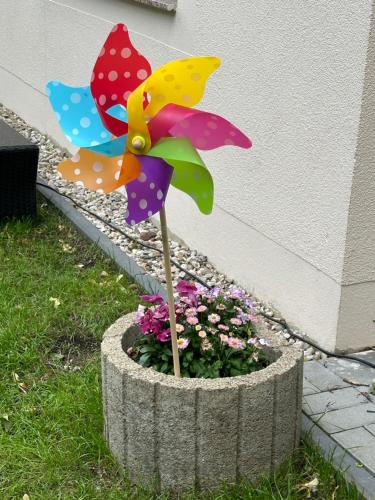 德累斯顿Villarina的花盆里带五颜六色雨伞的种植者