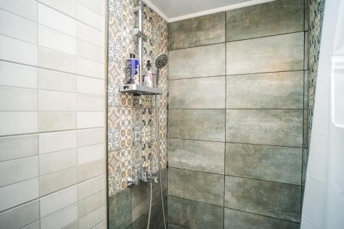 阿特米达The DreamHouse Athens Airport的一间带淋浴的浴室和瓷砖墙