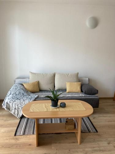 奥什恰德尼察Apartmán Janka的带沙发和咖啡桌的客厅