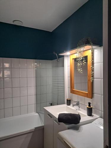 土伦T2 Proche du port, zone piétonne的一间带水槽、浴缸和镜子的浴室