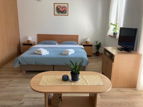 奥什恰德尼察Apartmán Janka的一间卧室配有一张床、一张桌子和一台电视。