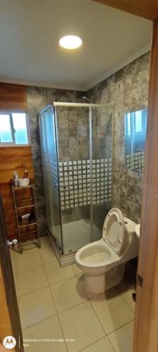 普耶韦Cabaña Puyehue的一间带卫生间和玻璃淋浴间的浴室