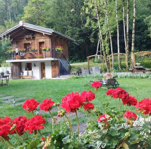 西克斯特Calme et sérénité 4 étoiles pour vos séjours VSD ou +的小屋前种有红色花的花园