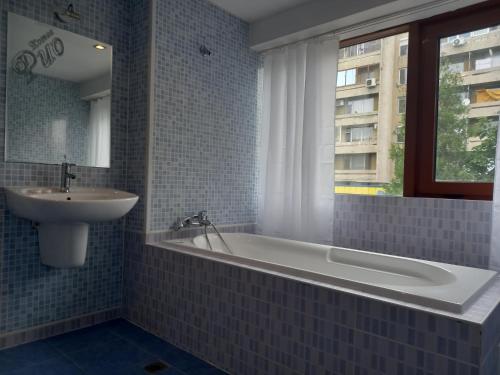 新扎戈拉Hotel Rio的带浴缸、水槽和窗户的浴室