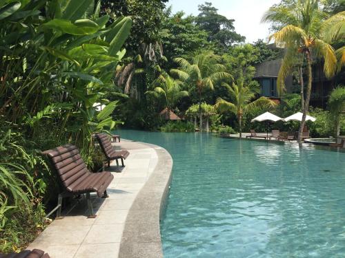 新加坡Siloso Beach Resort - Sentosa的度假村内带长椅的游泳池