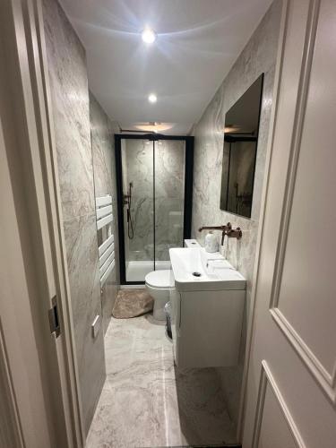 伦敦The Chapter Hotels - Mayfair Residences的浴室配有卫生间、盥洗盆和淋浴。