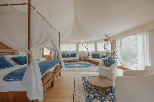 阿雷佐E-glamping/Blue Saphir Tent的一间带天蓬床的卧室和一间客厅