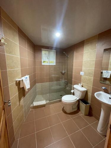 蓬塔卡纳Karimar Beach Condo Hotel的浴室配有卫生间、淋浴和盥洗盆。