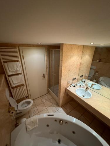 赖兴瑙Hotel Seeschau的带浴缸、卫生间和盥洗盆的浴室
