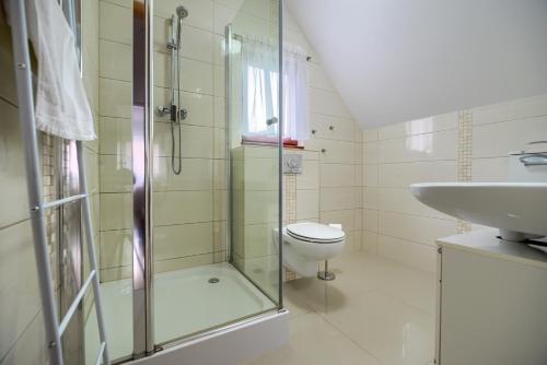 卢克钦Haus Claudia的带淋浴、卫生间和盥洗盆的浴室
