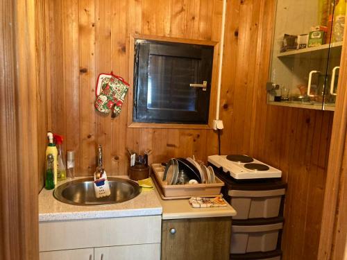 贝尔格莱德D-Family的厨房配有水槽和台面