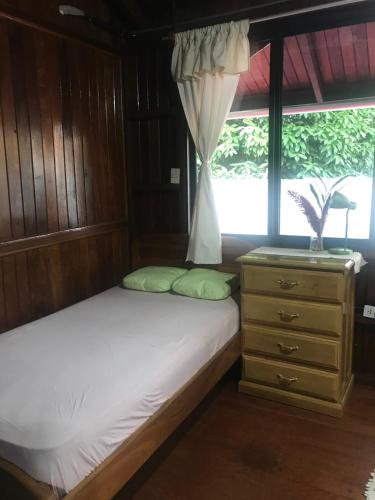 普卡尔帕Casa Bugambilia Pucallpa的一间卧室配有一张床、一个梳妆台和一扇窗户。