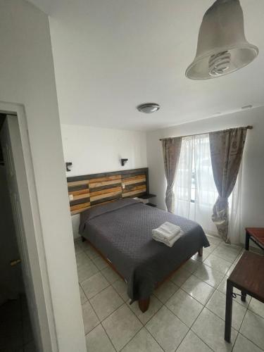 阿里卡Alto Chinchorro Hostel的一间卧室设有一张床和一个大窗户