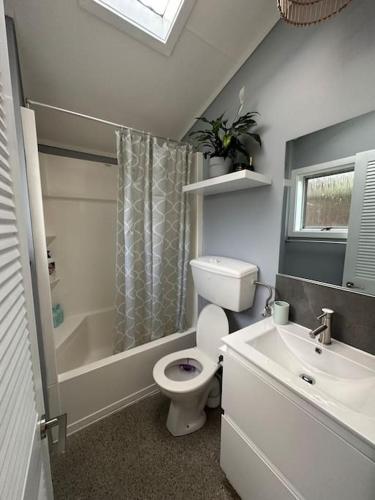 惠灵顿Cosy Coastal Villa in Lyall Bay的白色的浴室设有卫生间和水槽。