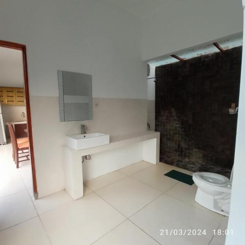 罗威那Lovina Villa Cinta的一间带水槽和卫生间的浴室