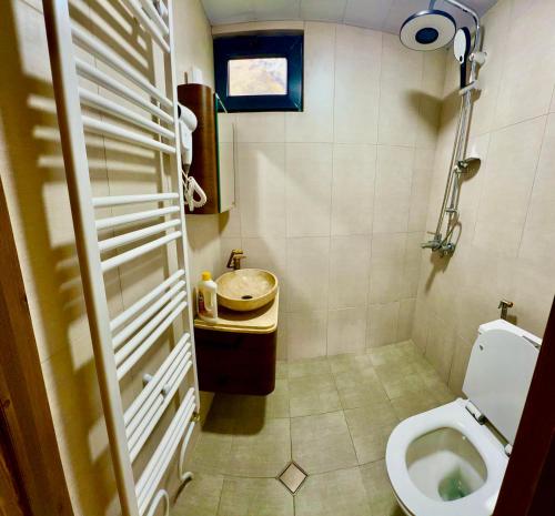 卡兹贝吉Cozy Home Kazbegi的一间带卫生间和水槽的浴室
