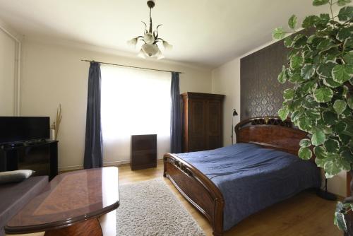 尼赖吉哈佐Milán Apartment的卧室配有一张挂在墙上的植物床
