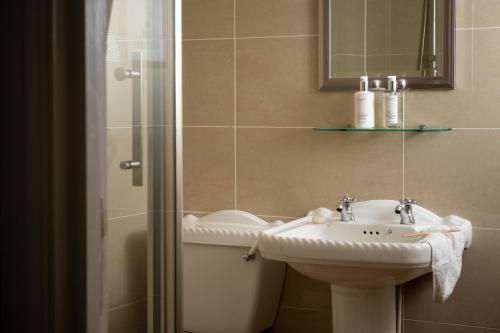 塞特尔塞特尔金狮l旅馆的一间带水槽和淋浴的浴室
