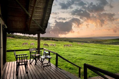阿多戈拉大象营酒店的一个带桌椅的甲板,以及田野上的动物