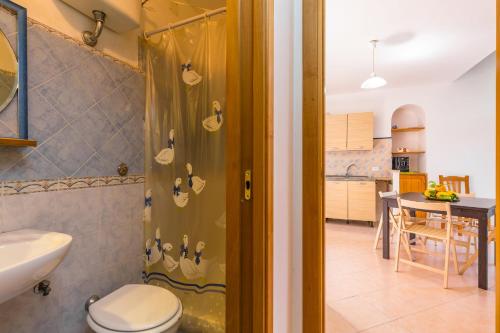 普罗奇达La TERRAZZA sul GIARDINO的带淋浴、卫生间和盥洗盆的浴室
