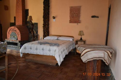 科帕卡巴纳La Leyenda的一间卧室配有一张床、一个壁炉和一张四柱床