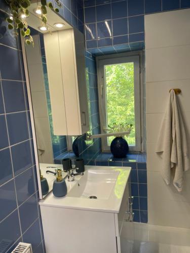 隆代克-兹德鲁伊Willa Toskania的蓝色瓷砖浴室设有水槽和镜子