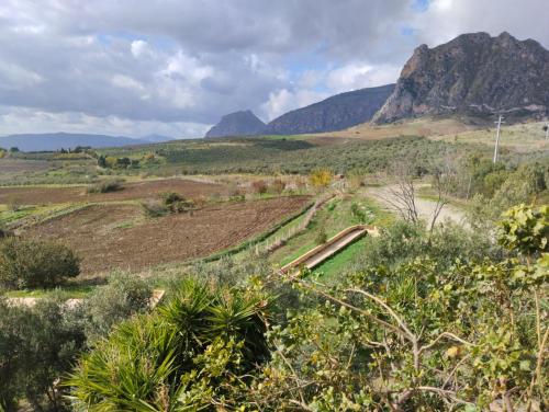 圣朱塞佩亚托Agriturismo Masseria La Chiusa的享有山脉背景的田野景色