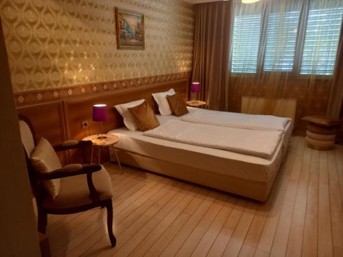 新扎戈拉Hotel Rio的一间卧室配有一张大床和一把椅子