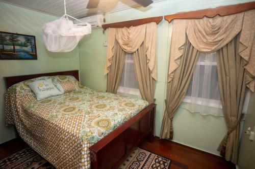 乔治敦Casa Rosa的一间卧室设有一张床和两个窗户。
