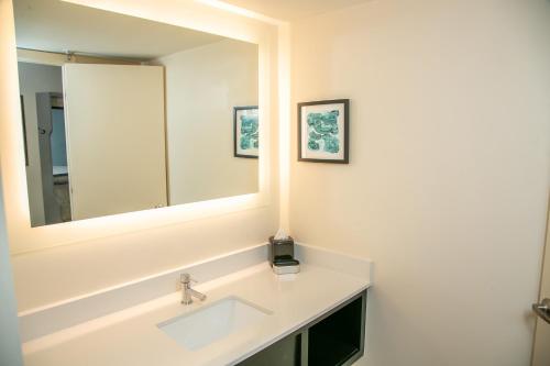 格雷特纳新奥尔良西岸大厦假日酒店的一间带水槽和大镜子的浴室