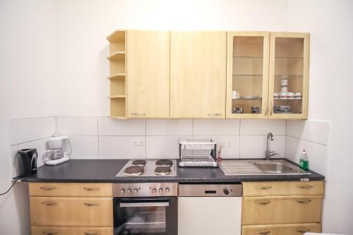维也纳Spacious Apartment in Floridsdorf Area PR9的一个带木制橱柜和水槽的厨房