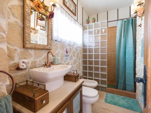 贝加德圣马特奥Ca Bellavista的一间带水槽、卫生间和淋浴的浴室