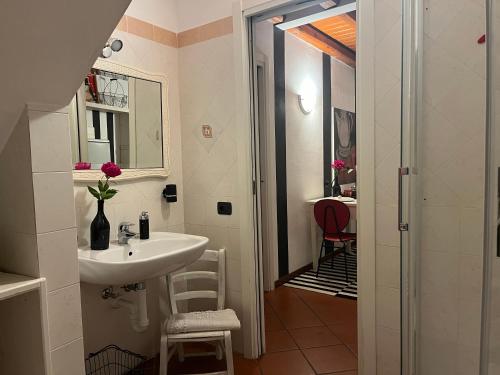 内索卡斯塔尼亚乡村别墅的一间带水槽和镜子的浴室